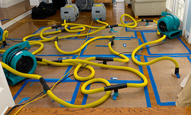Professional Structural Drying And Dehumidification technician working in Woodville, TX